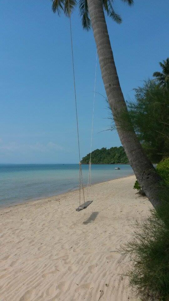 lonely beach swing