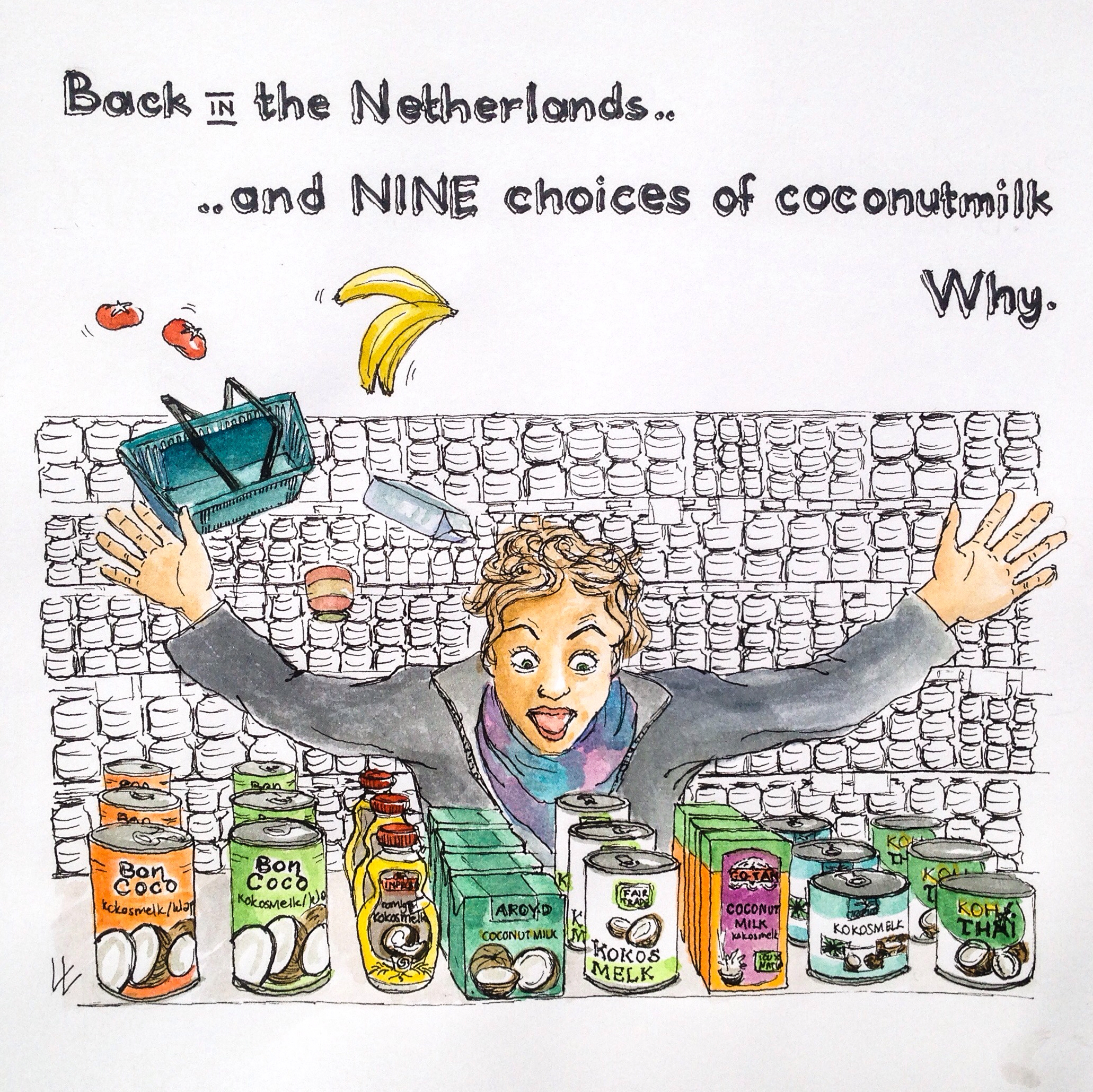 albert heijn coconut milk supermarket too many choices stress