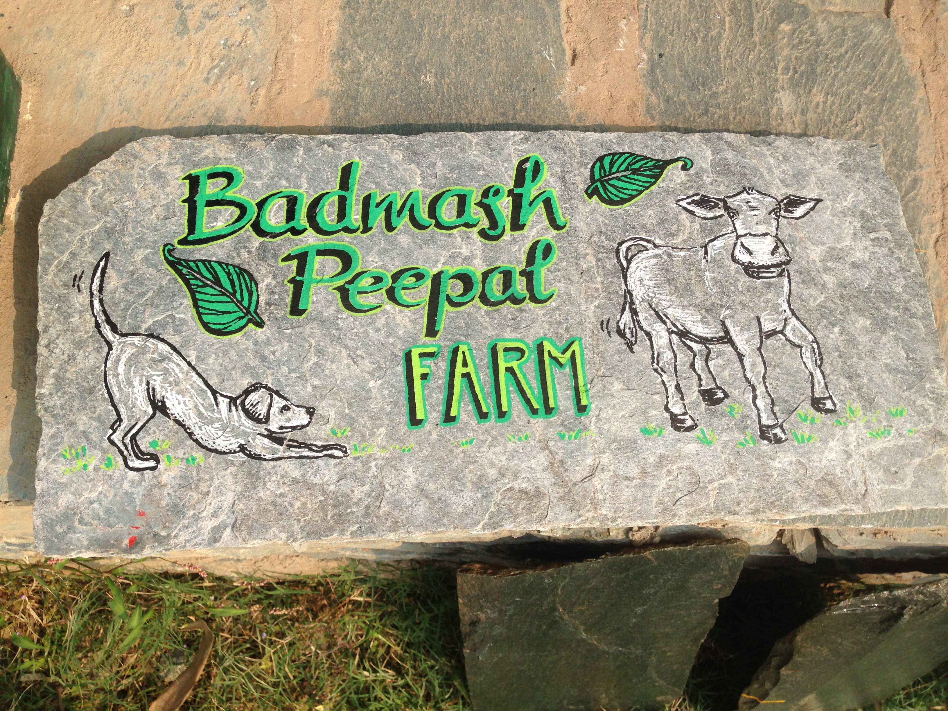 signpainting handlettering lilian leahy rotterdam badmash peepal farm india